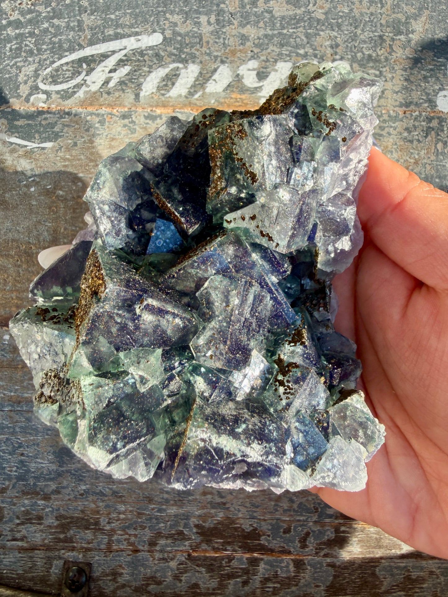 Gorgeous Cubic Dark Blue/Green Fluorite Specimen coated in Pyrite | China | Opt 49