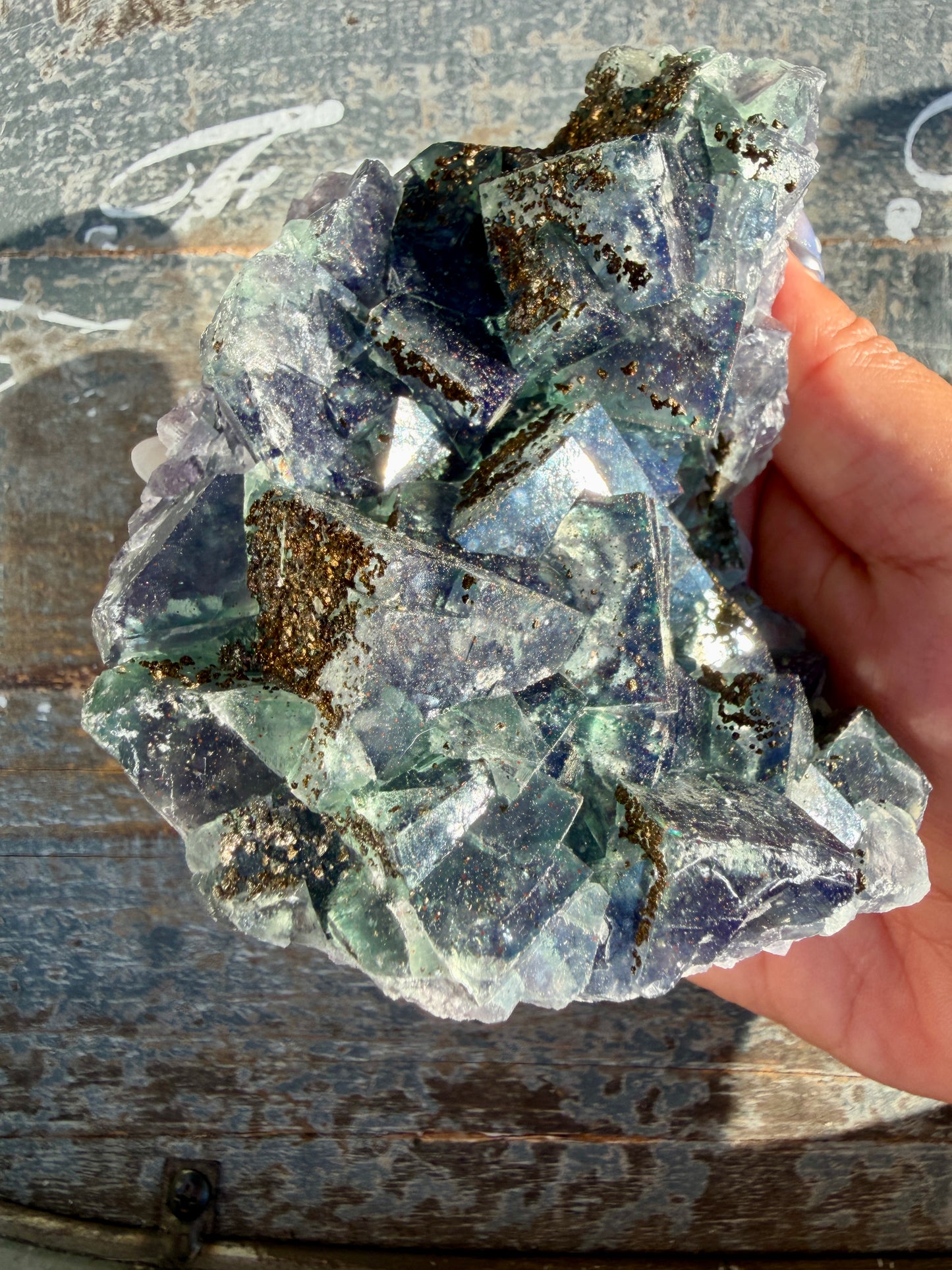 Gorgeous Cubic Dark Blue/Green Fluorite Specimen coated in Pyrite | China | Opt 49