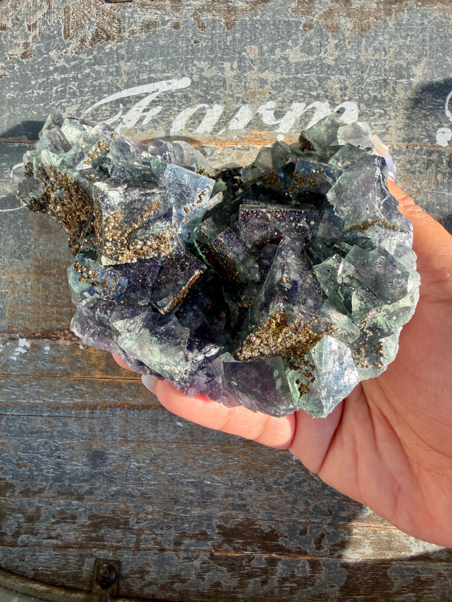 Gorgeous Cubic Dark Blue/Green Fluorite Specimen coated in Pyrite | China | Opt 49