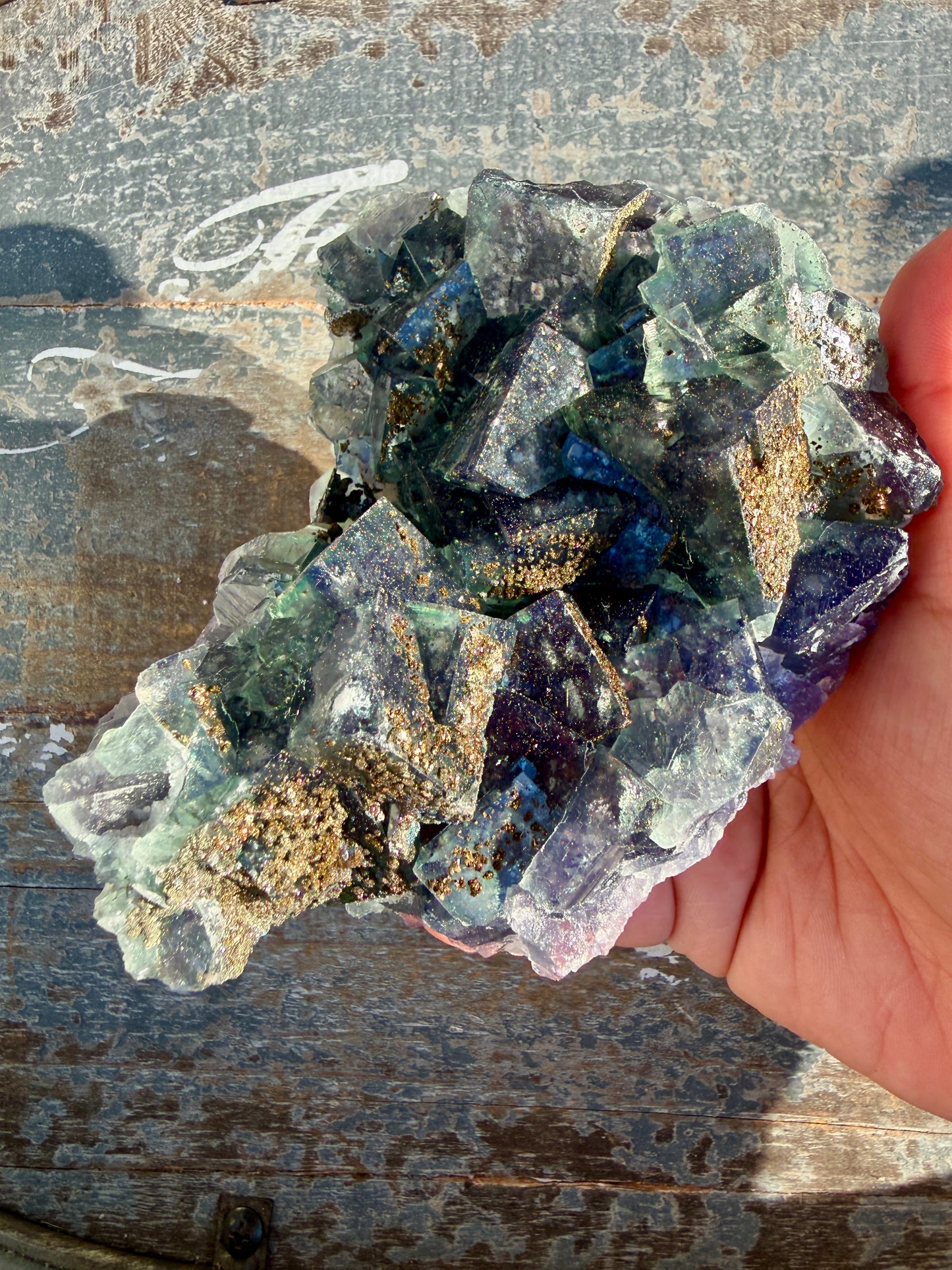 Gorgeous Cubic Dark Blue/Green Fluorite Specimen coated in Pyrite | China | Opt 49