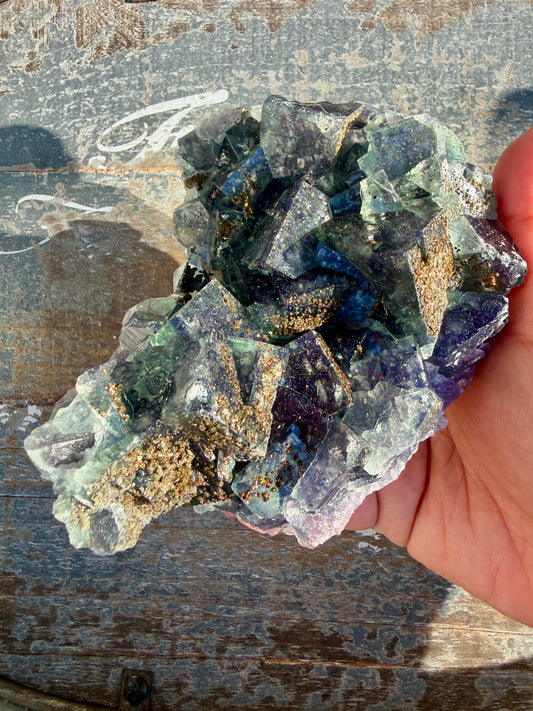Gorgeous Cubic Dark Blue/Green Fluorite Specimen coated in Pyrite | China | Opt 49