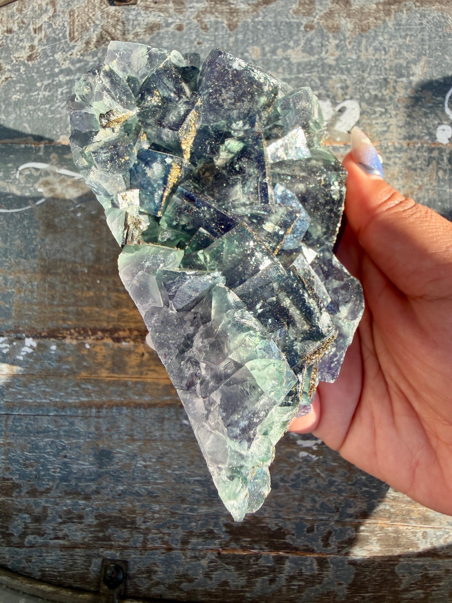 Gorgeous Cubic Dark Blue/Green Fluorite Specimen coated in Pyrite | China | Opt 49