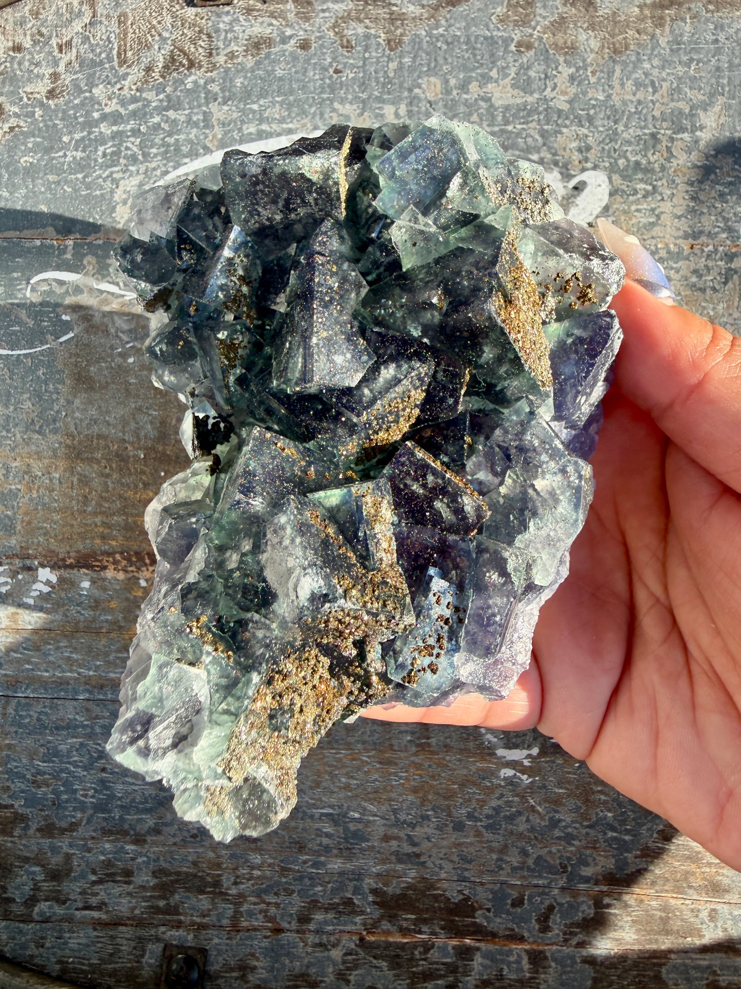 Gorgeous Cubic Dark Blue/Green Fluorite Specimen coated in Pyrite | China | Opt 49
