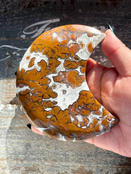 Gorgeous Brecciated Jasper in Agate Half Moon from Indonesia