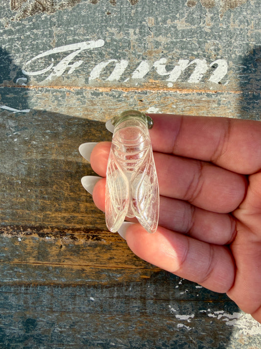 Gorgeous Hand Carved Garden Quartz Cicada | Opt A