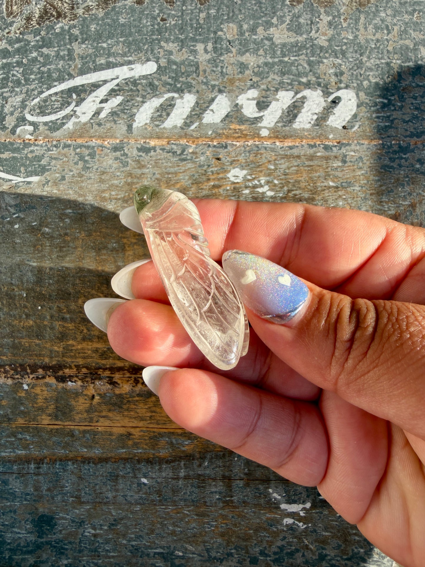 Gorgeous Hand Carved Garden Quartz Cicada | Opt A