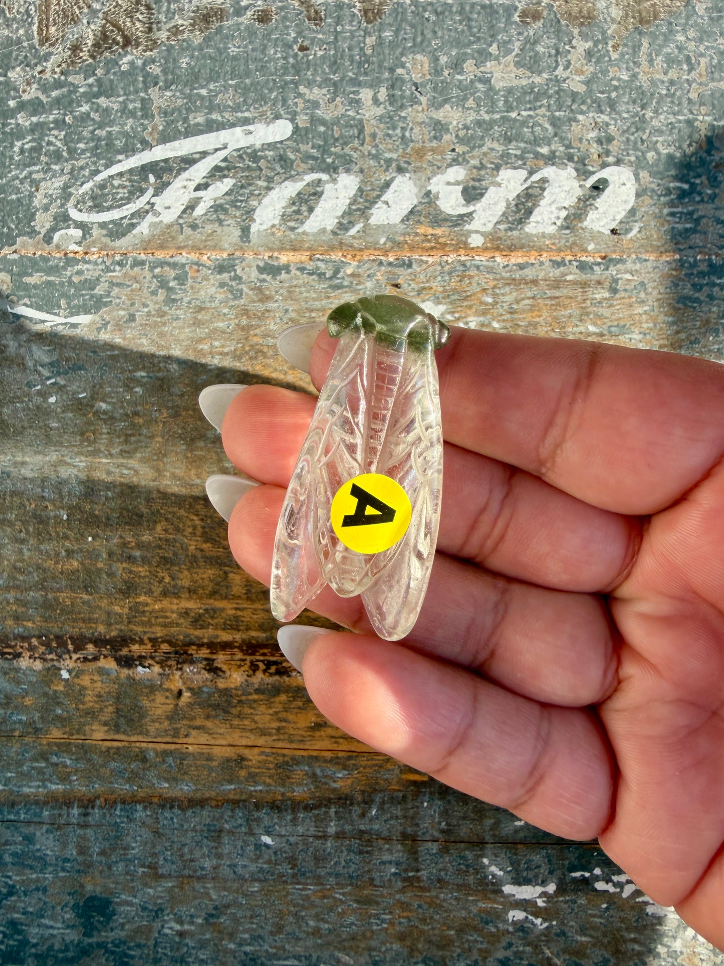 Gorgeous Hand Carved Garden Quartz Cicada | Opt A