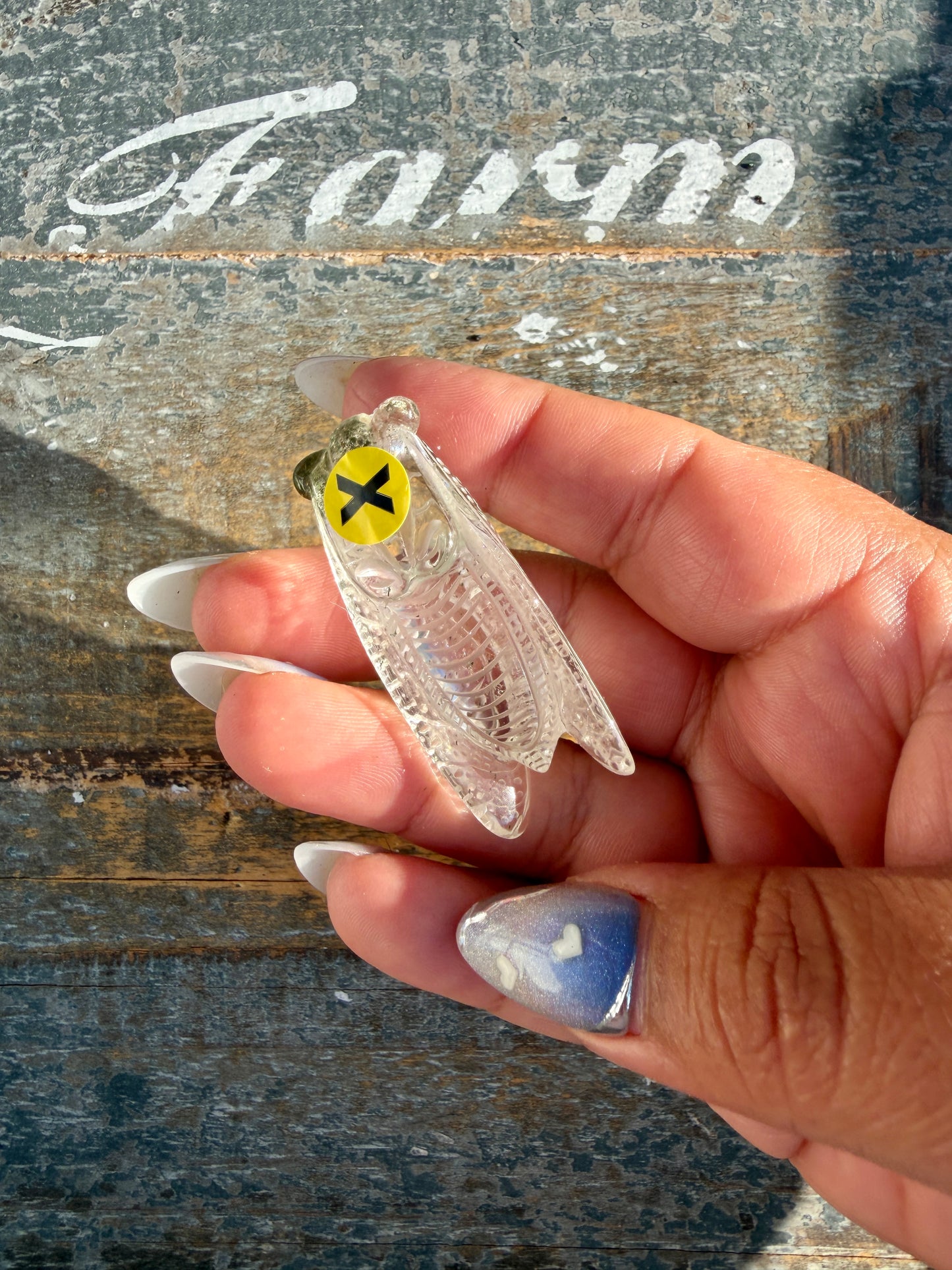 Gorgeous Hand Carved Garden Quartz Cicada | Opt X