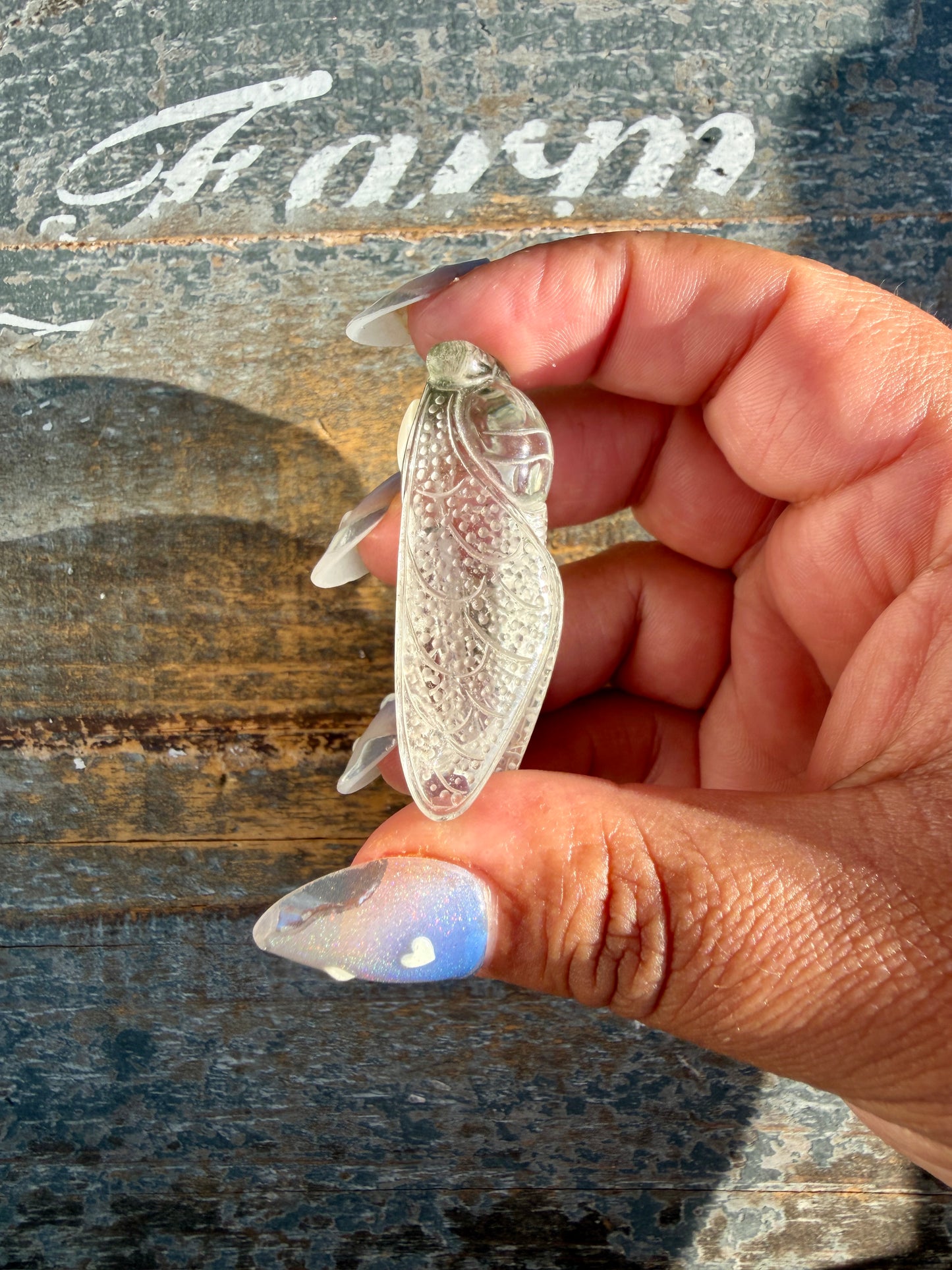 Gorgeous Hand Carved Garden Quartz Cicada | Opt X