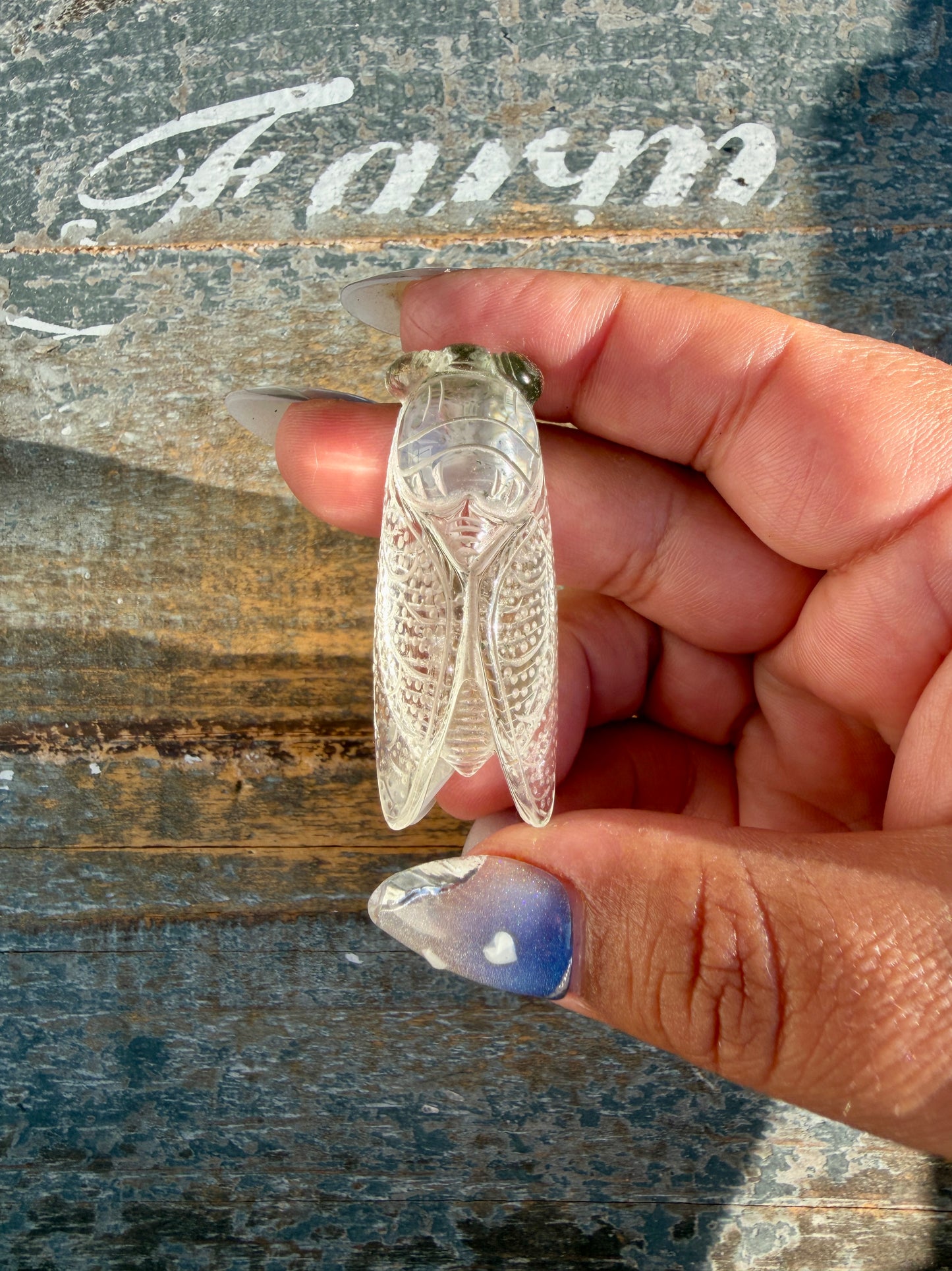 Gorgeous Hand Carved Garden Quartz Cicada | Opt X