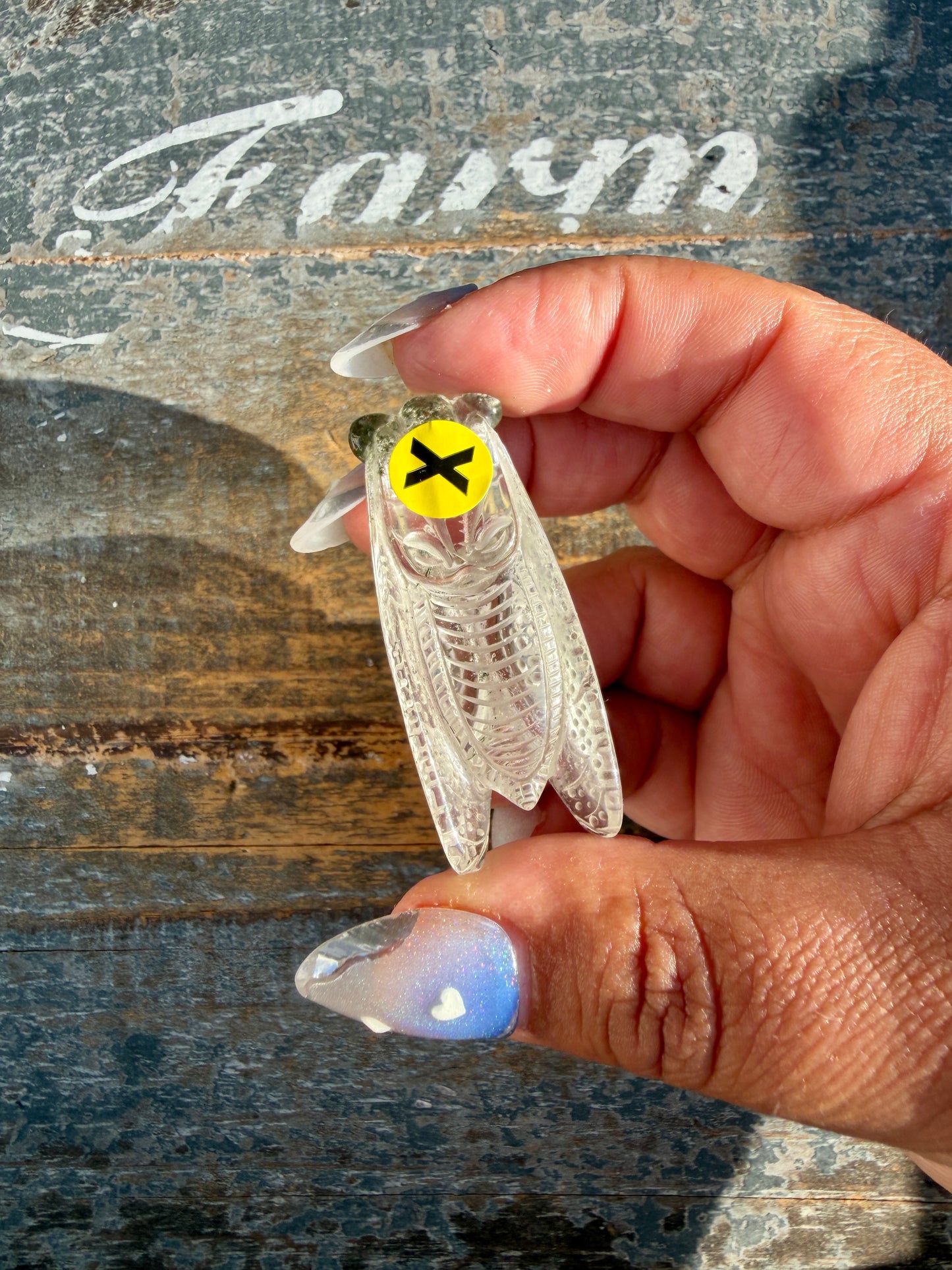 Gorgeous Hand Carved Garden Quartz Cicada | Opt X
