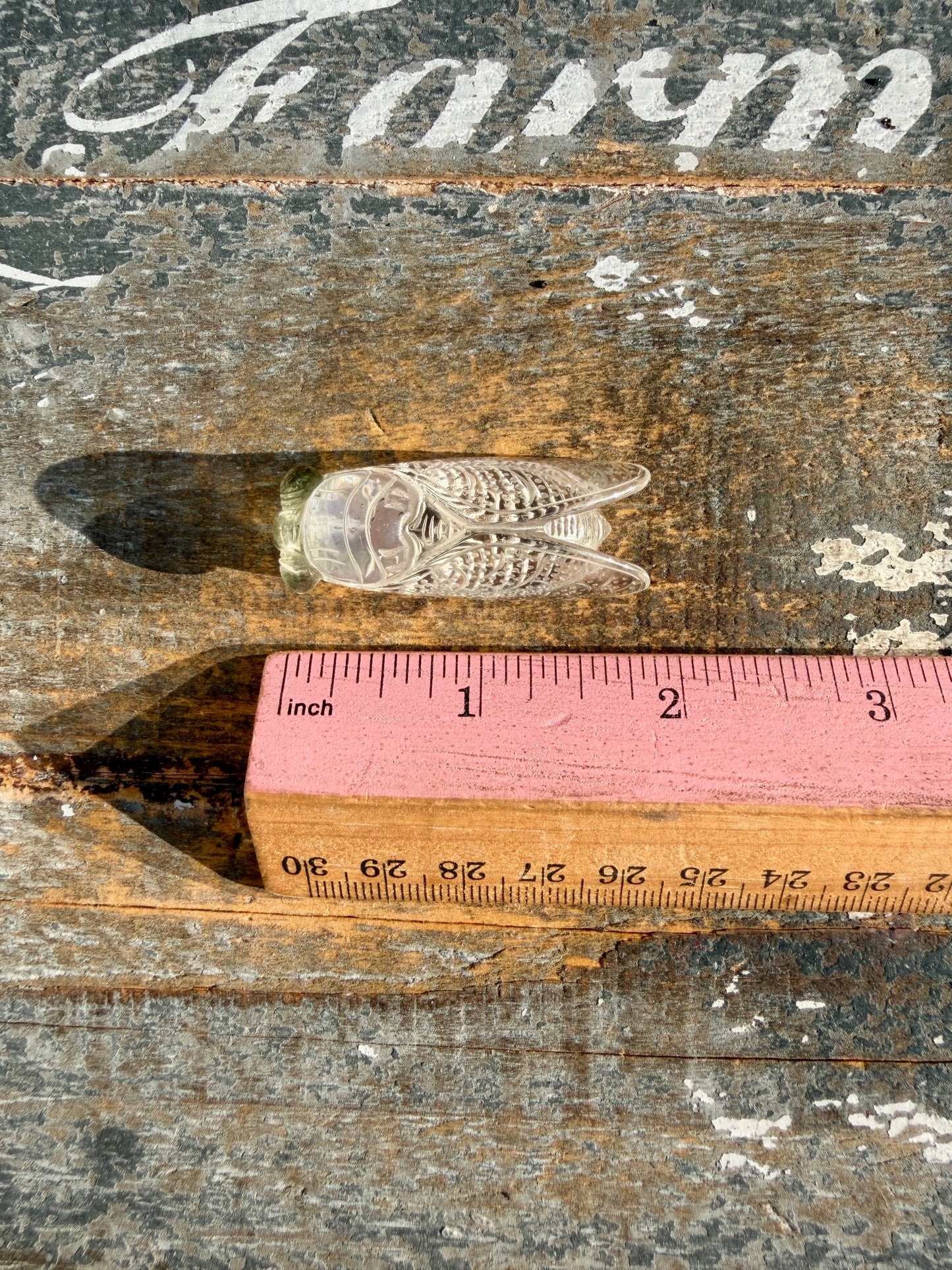Gorgeous Hand Carved Garden Quartz Cicada | Opt X