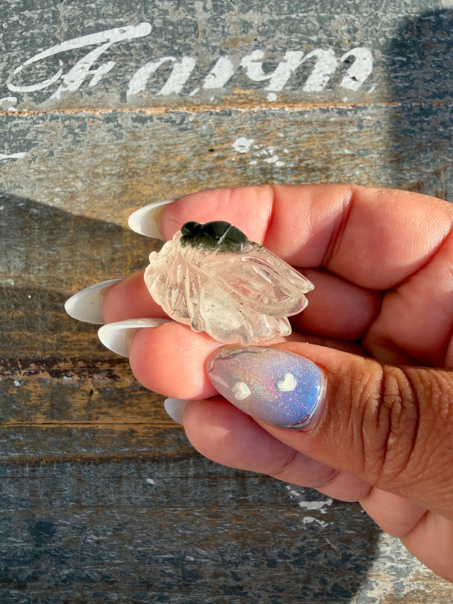 Gorgeous Hand Carved Garden Quartz Cicada | Opt Z
