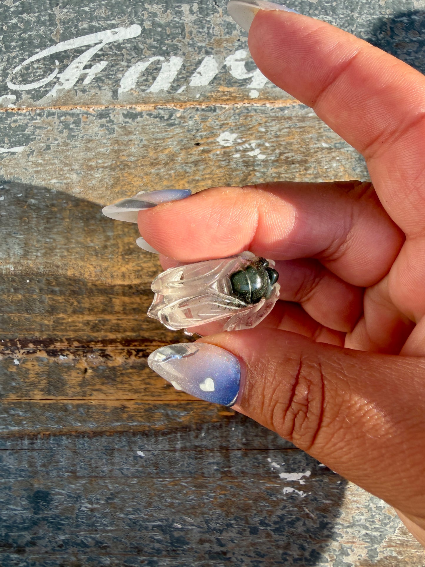 Gorgeous Hand Carved Garden Quartz Cicada | Opt Z