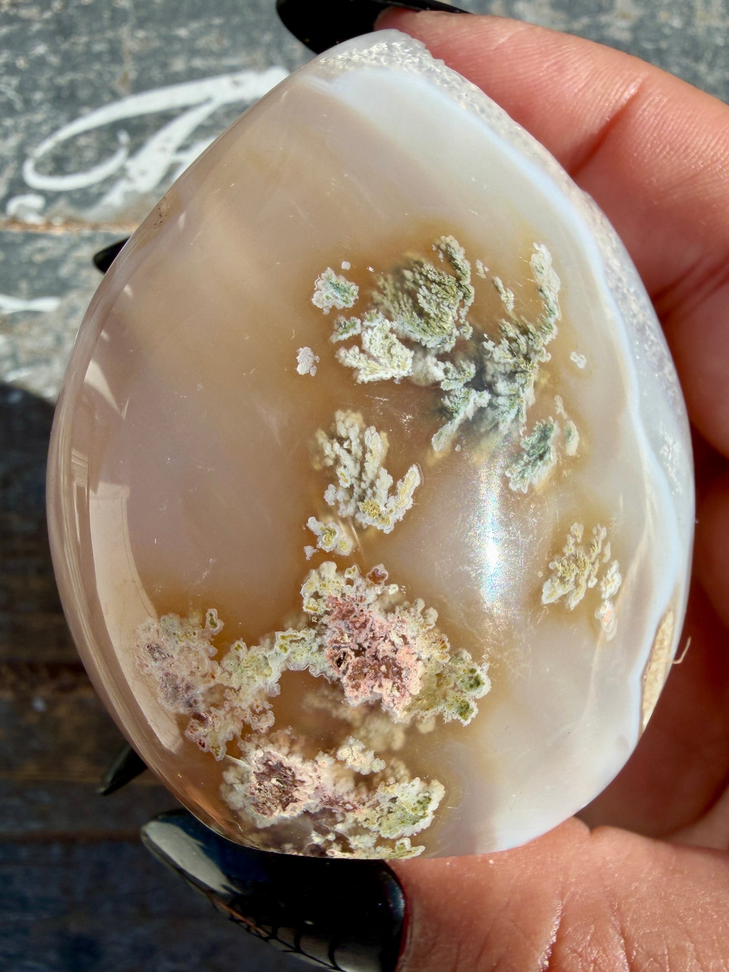 Gorgeous Scenic Moss Agate Freeform | Opt 12