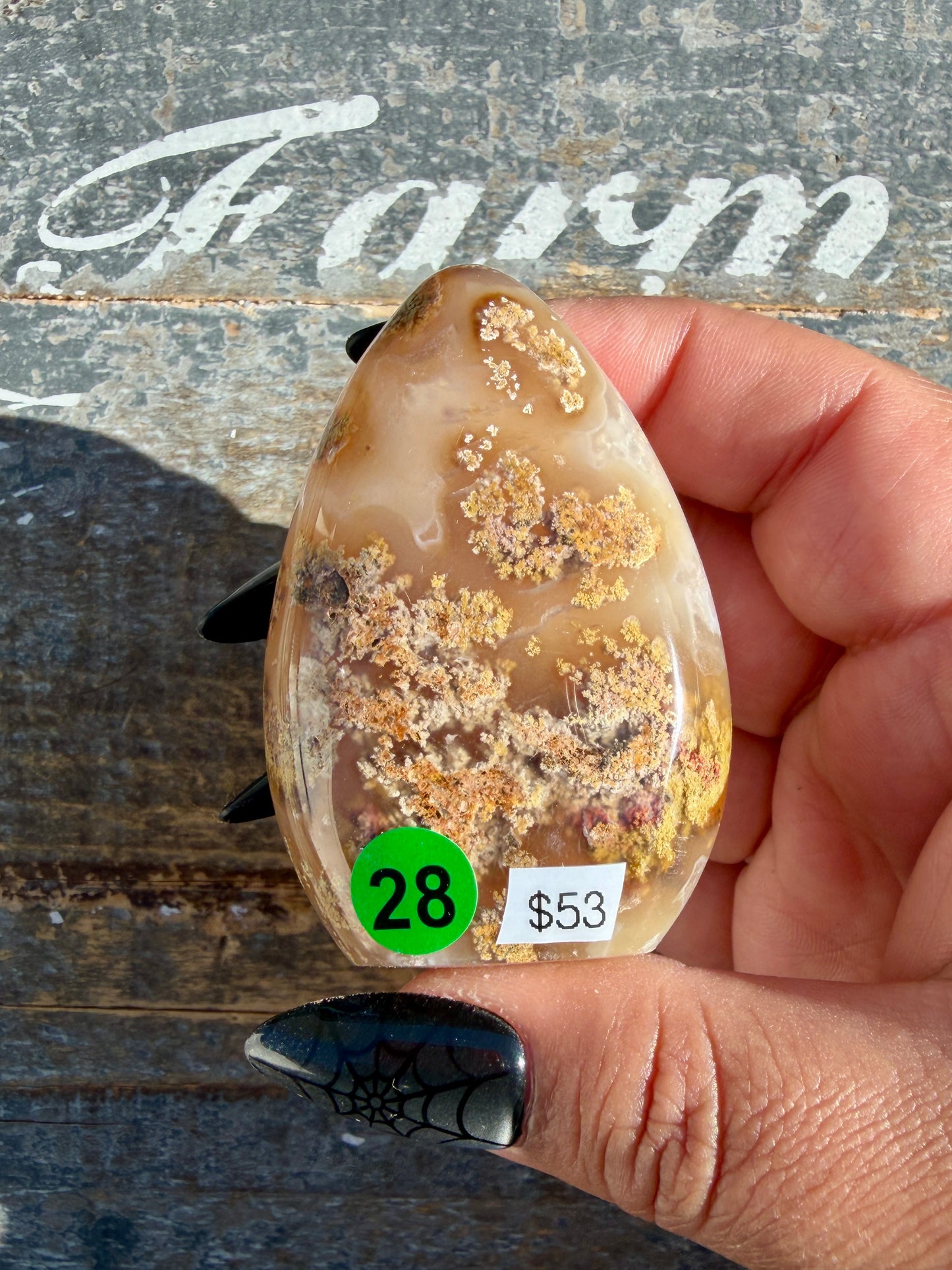 Gorgeous Scenic Moss Agate Freeform | Opt 28