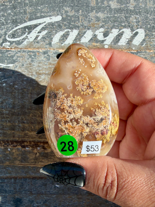 Gorgeous Scenic Moss Agate Freeform | Opt 28
