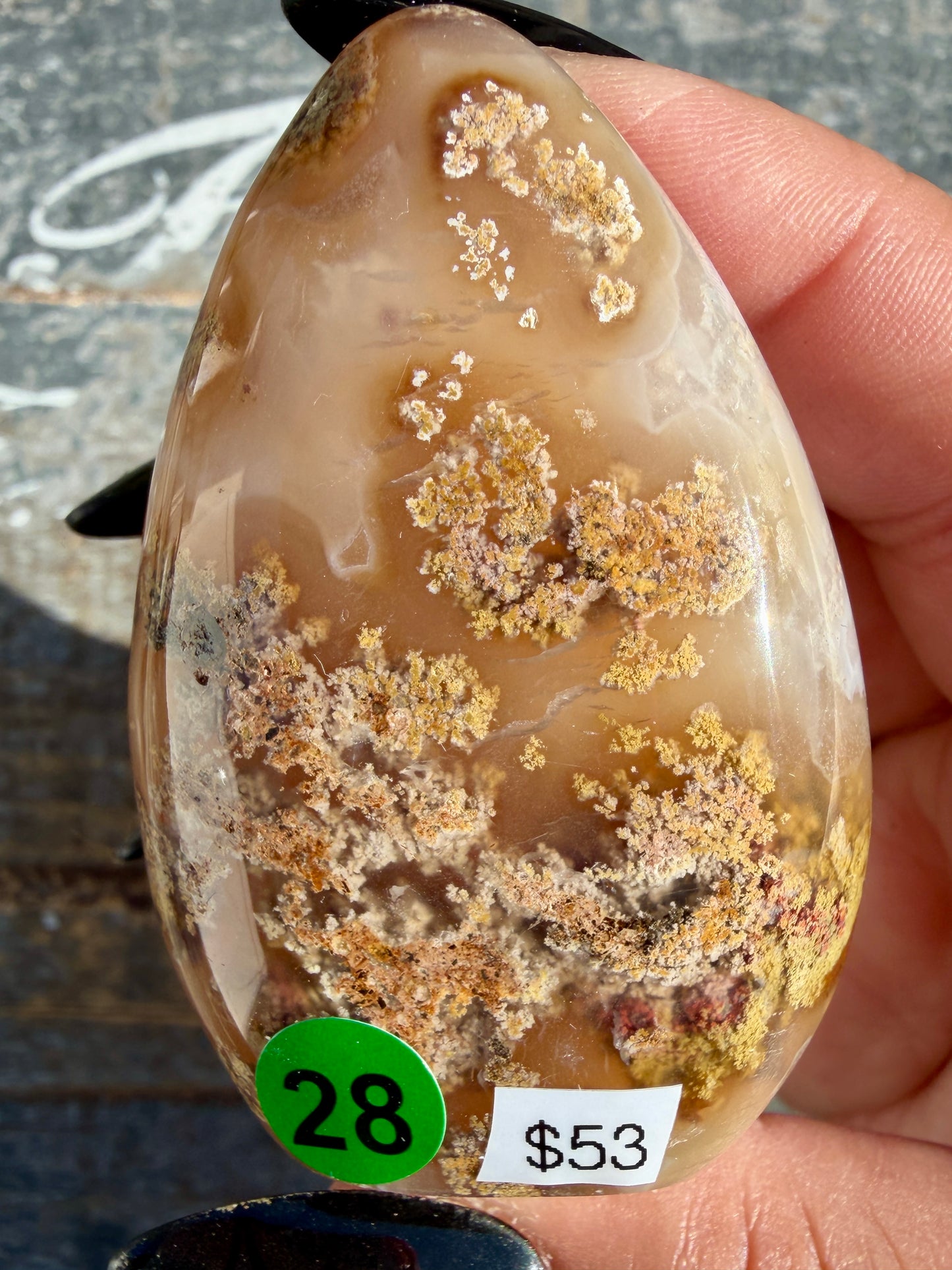 Gorgeous Scenic Moss Agate Freeform | Opt 28