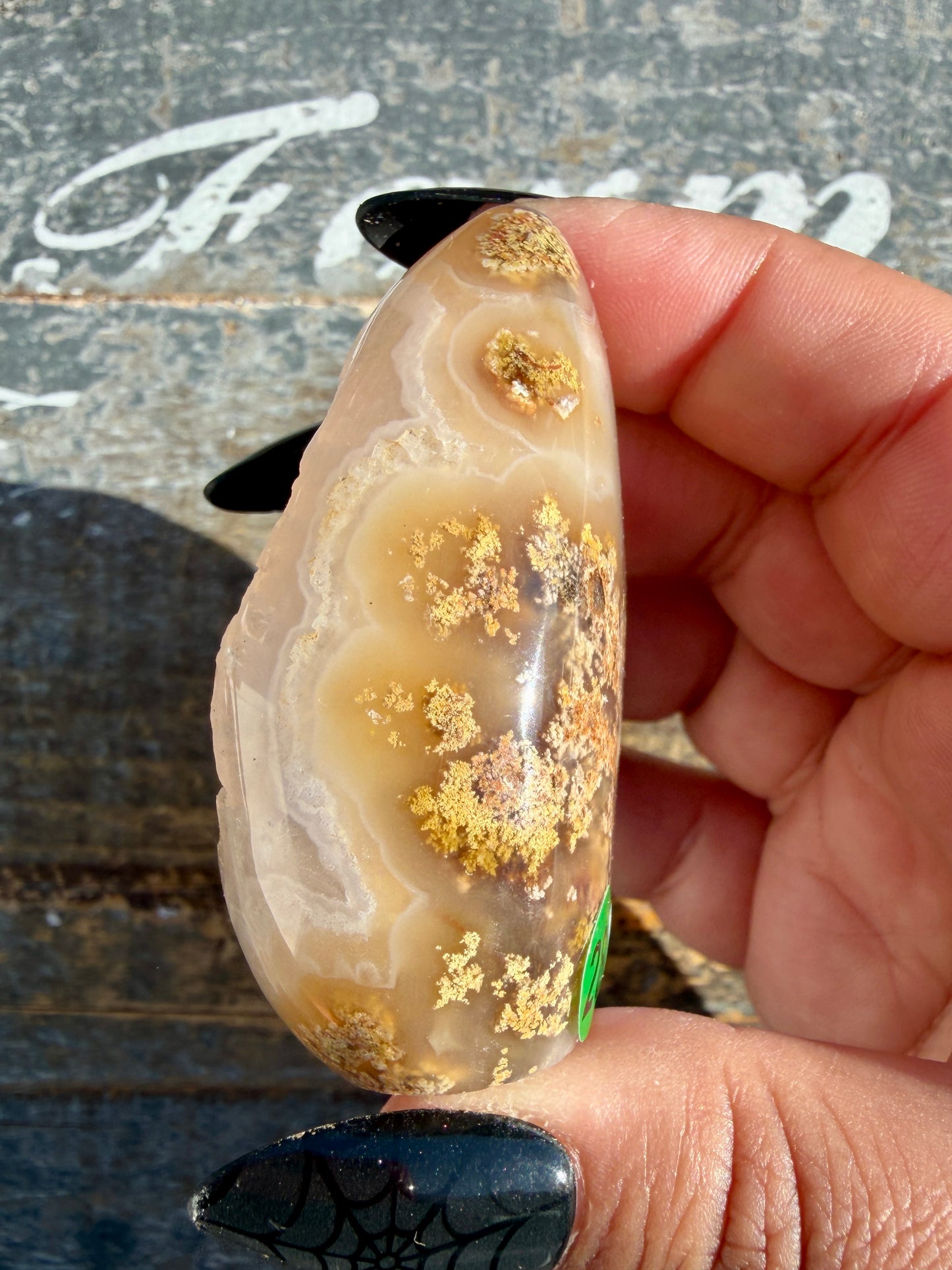Gorgeous Scenic Moss Agate Freeform | Opt 28