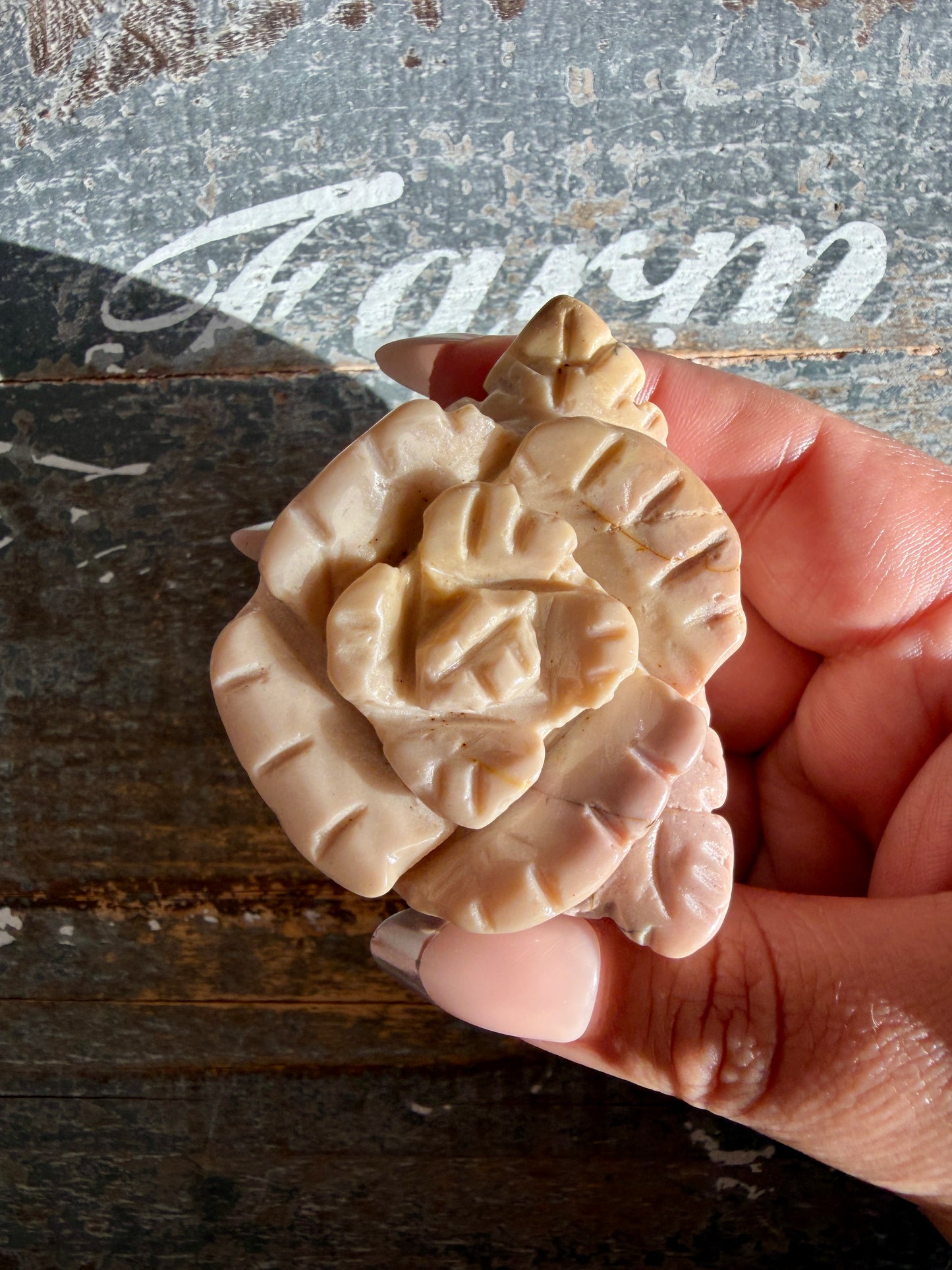 Adorable Mini Mookaite Rose | Opt T