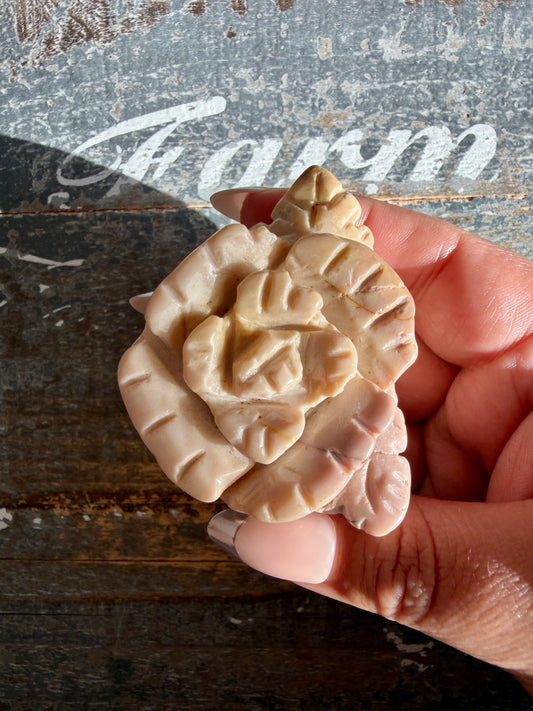 Adorable Mini Mookaite Rose | Opt T