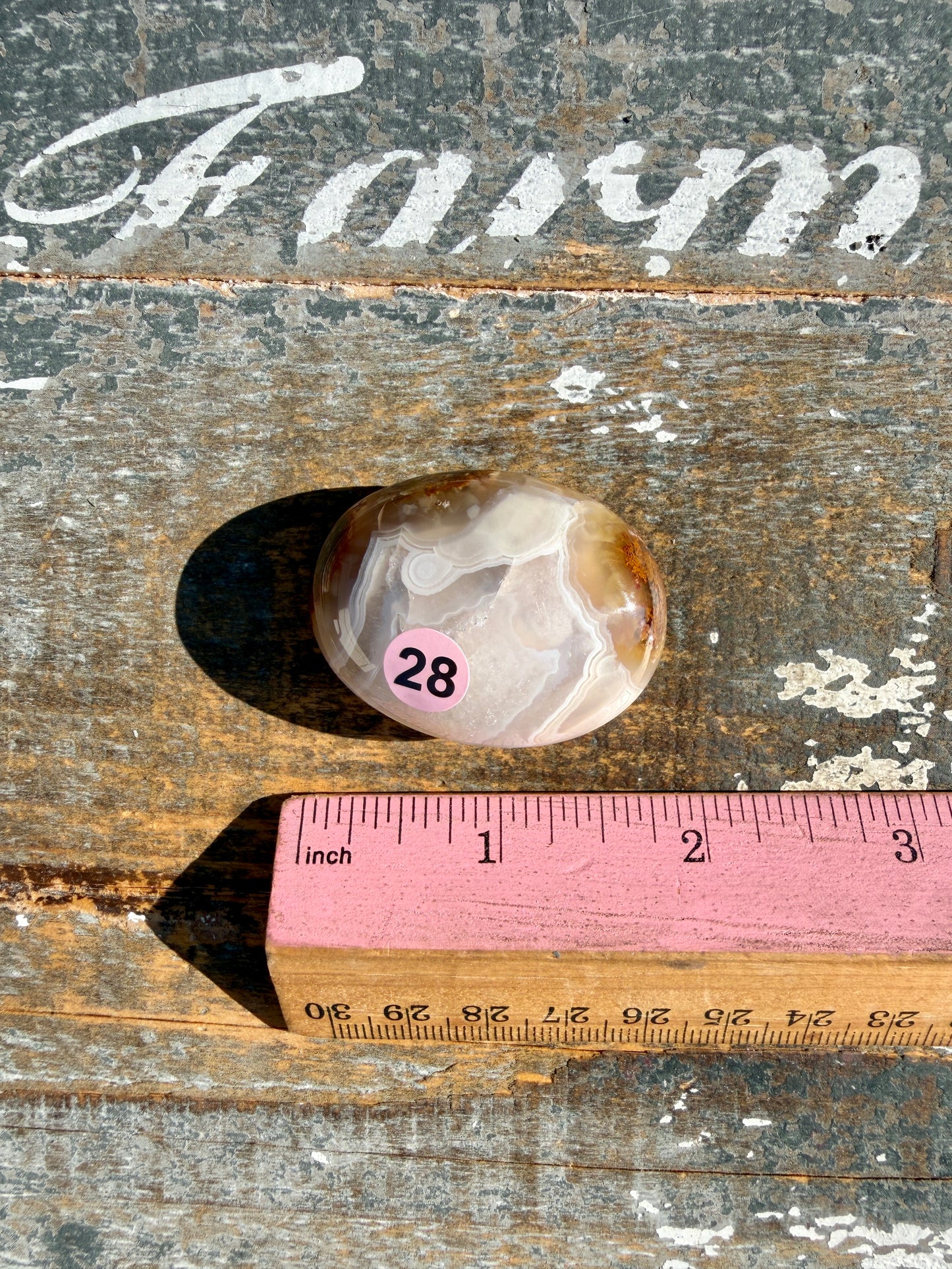 Gorgeous Scenic Moss Agate Palm Stone | Indonesia | Opt 28