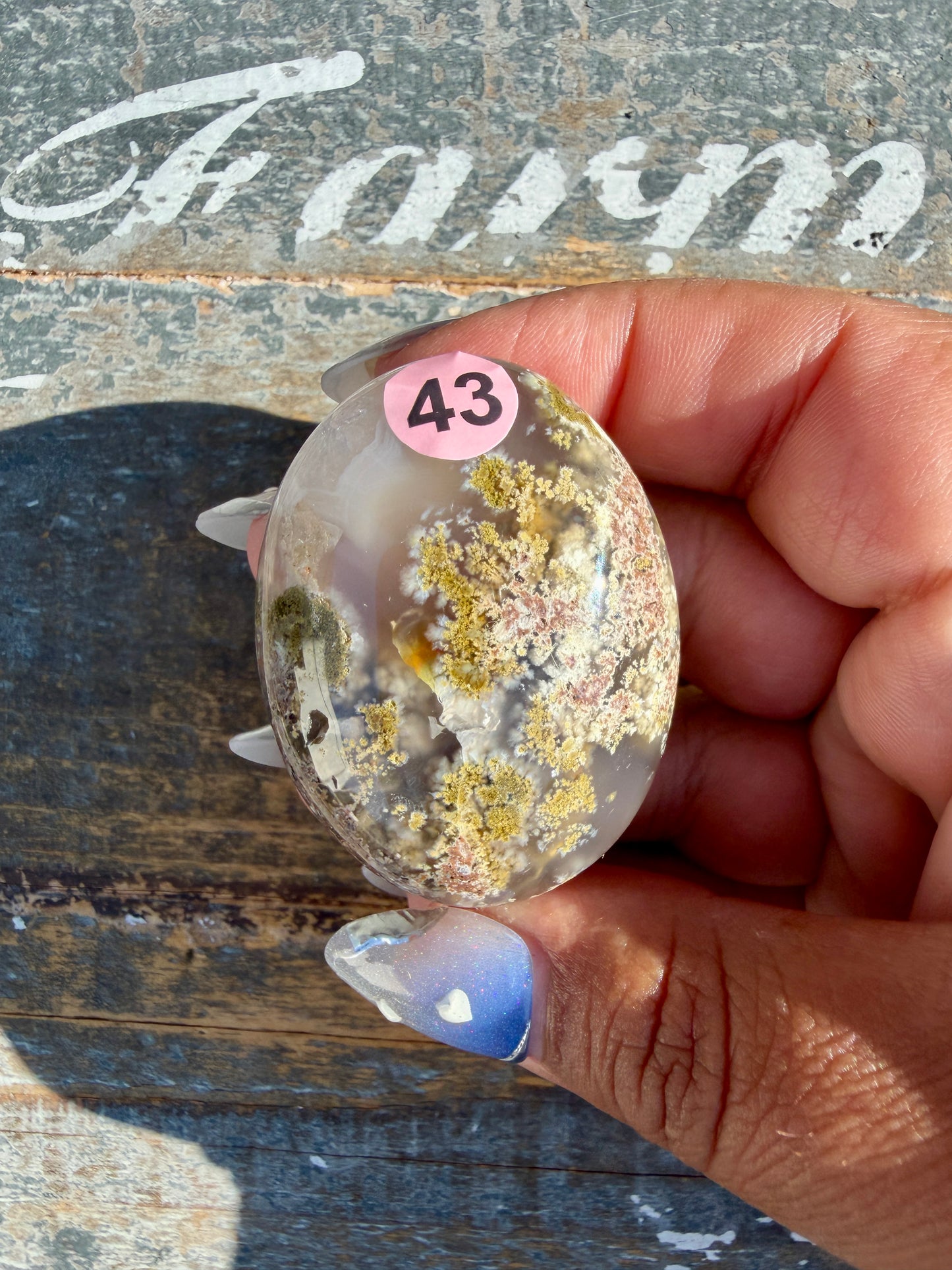 Gorgeous Scenic Moss Agate Palm Stone | Indonesia | Opt 43