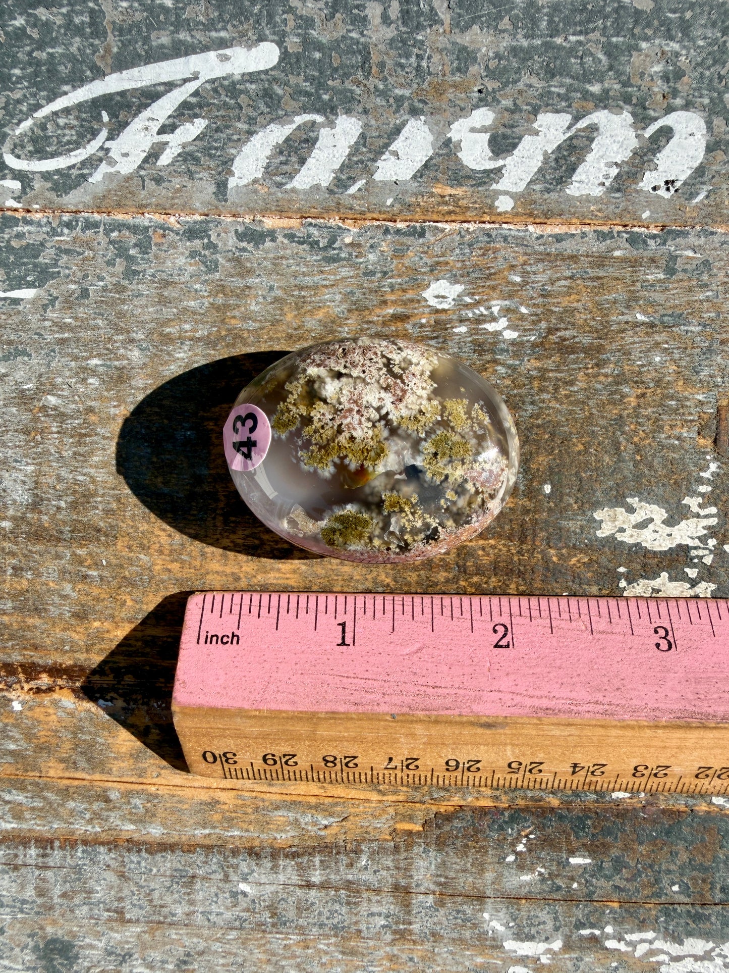 Gorgeous Scenic Moss Agate Palm Stone | Indonesia | Opt 43