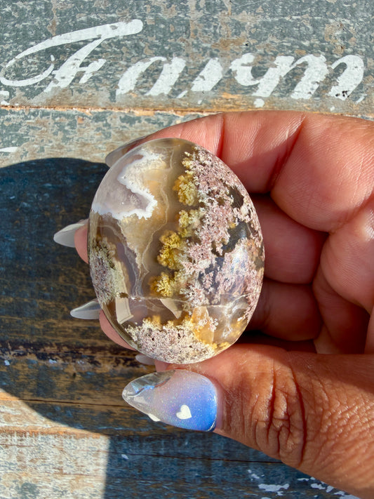 Gorgeous Scenic Moss Agate Palm Stone | Indonesia | Opt 46