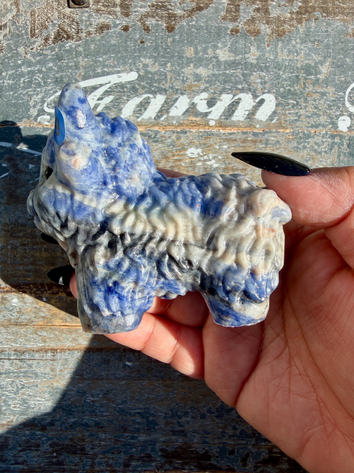 Adorable Sodalite Yak | Opt 9
