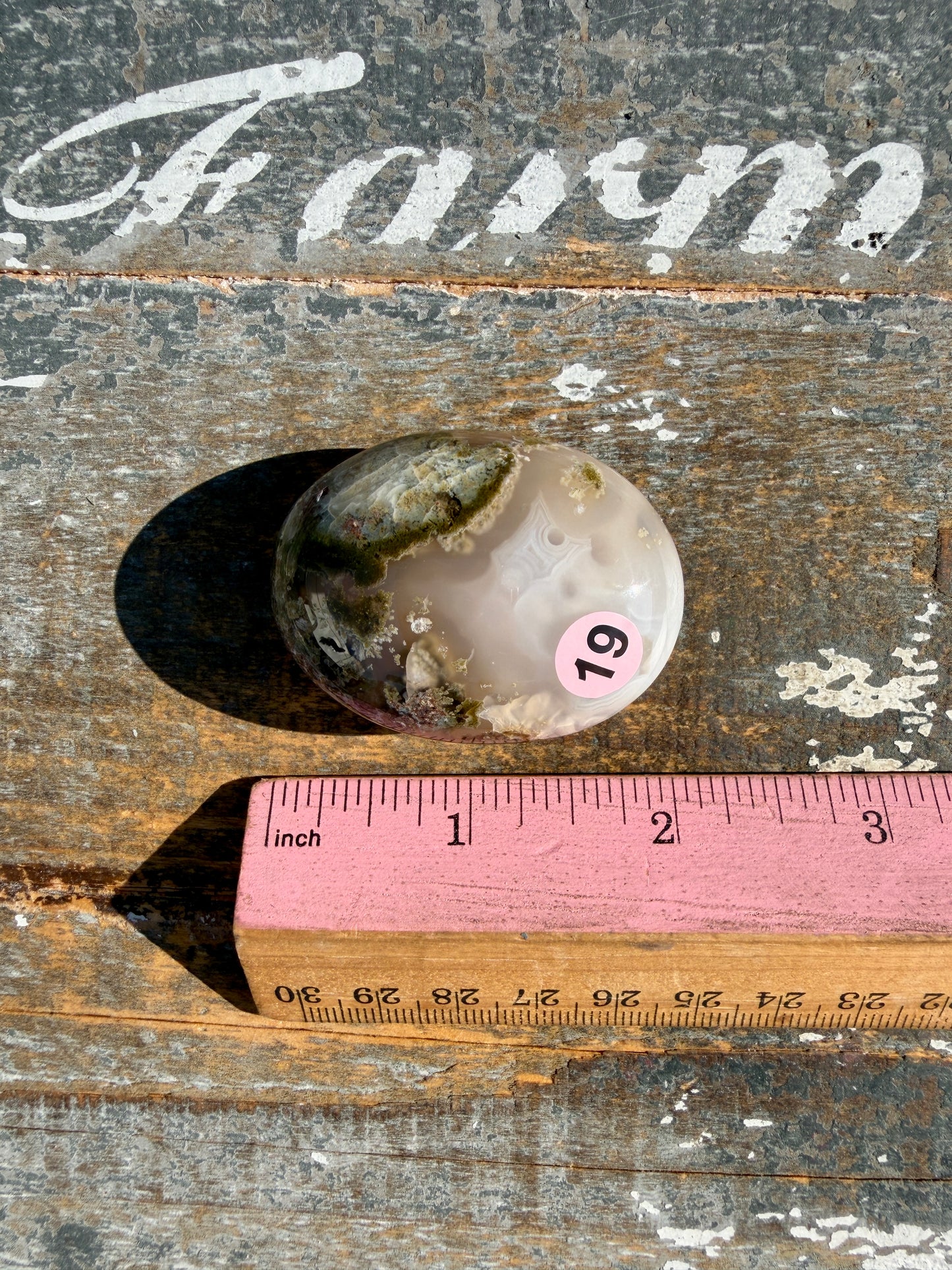 Gorgeous Scenic Moss Agate Palm Stone | Indonesia | Opt 19
