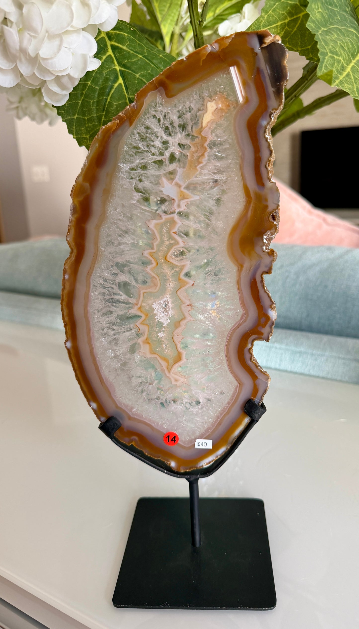 Gorgeous Agate Slice from Brazil | Opt 14