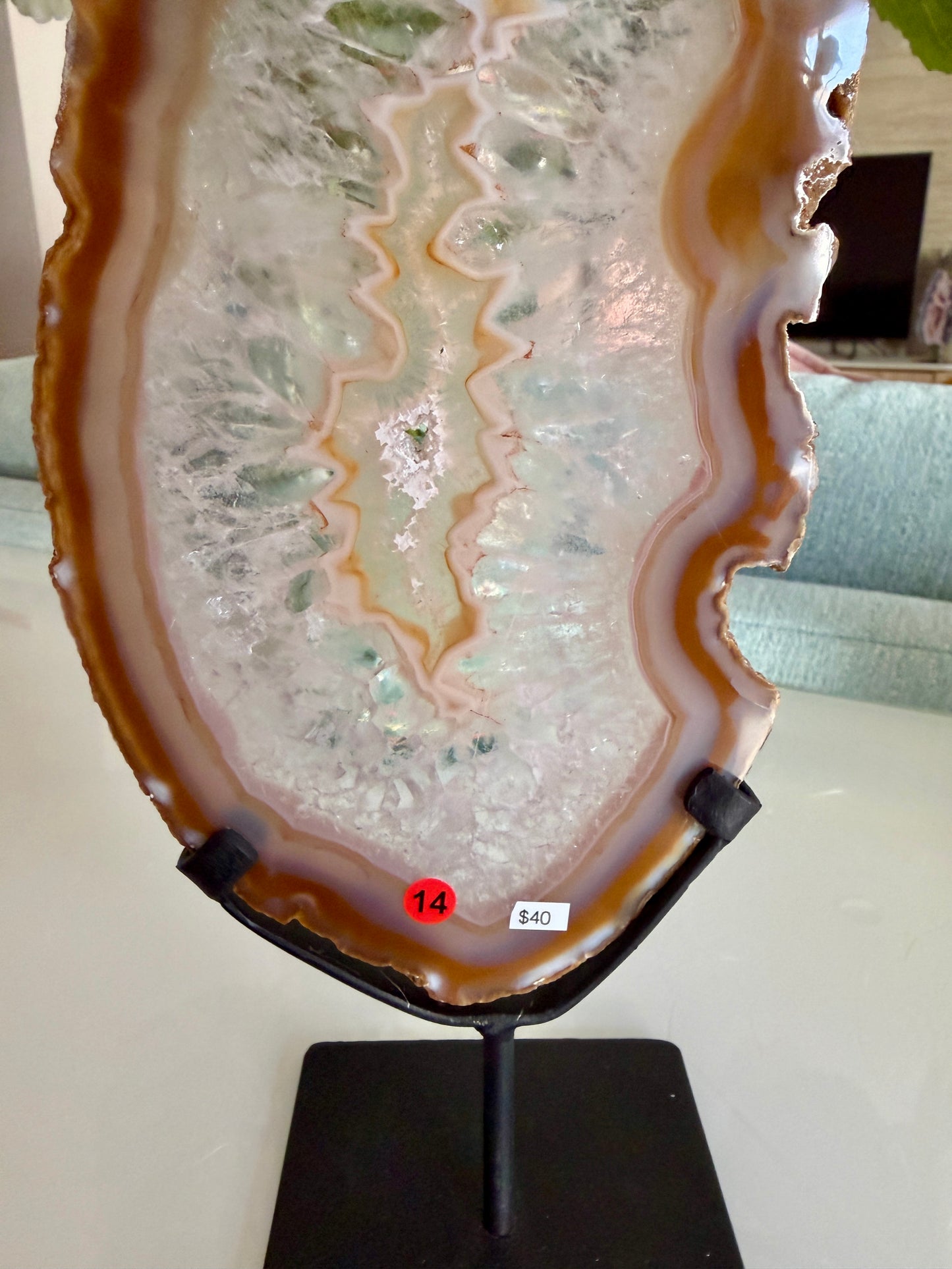 Gorgeous Agate Slice from Brazil | Opt 14