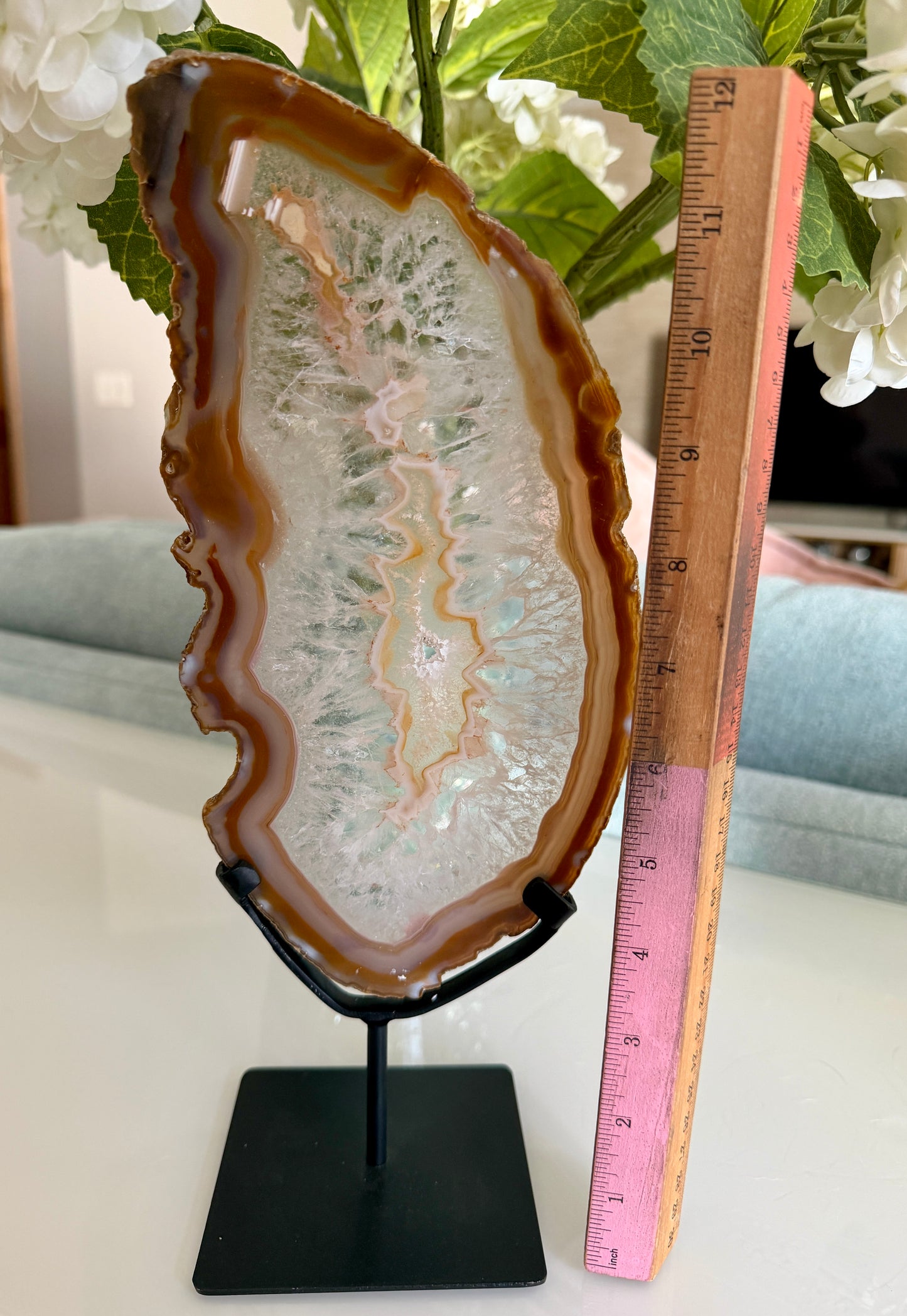 Gorgeous Agate Slice from Brazil | Opt 14