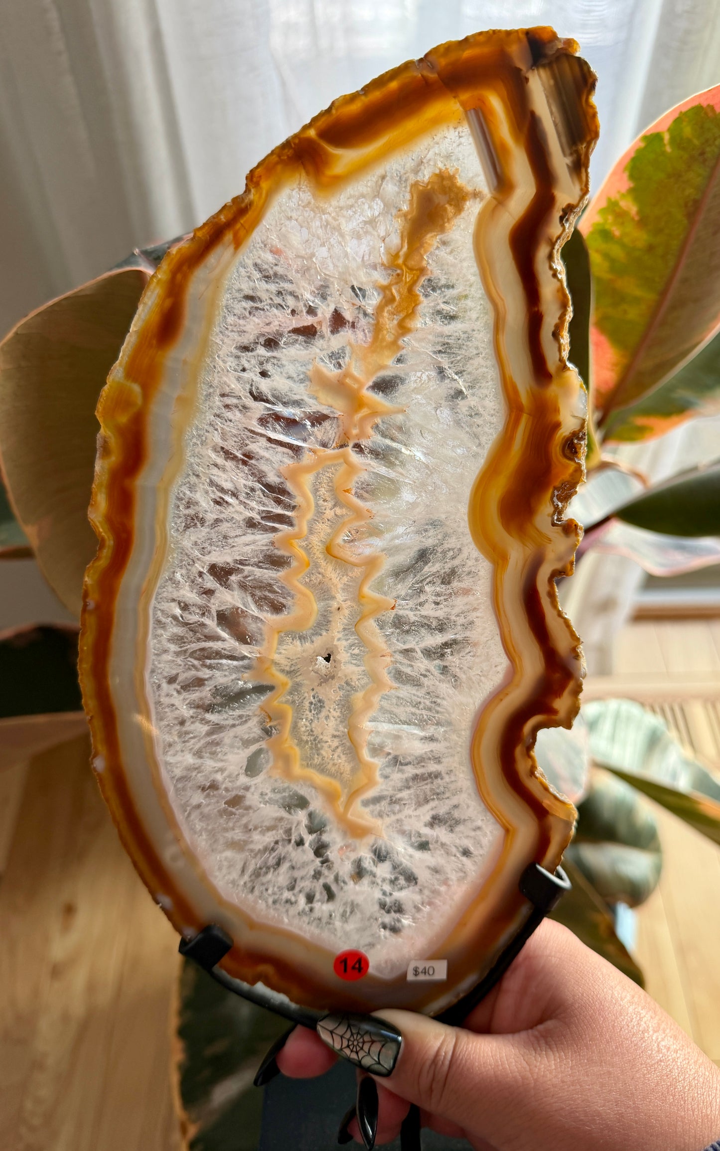Gorgeous Agate Slice from Brazil | Opt 14