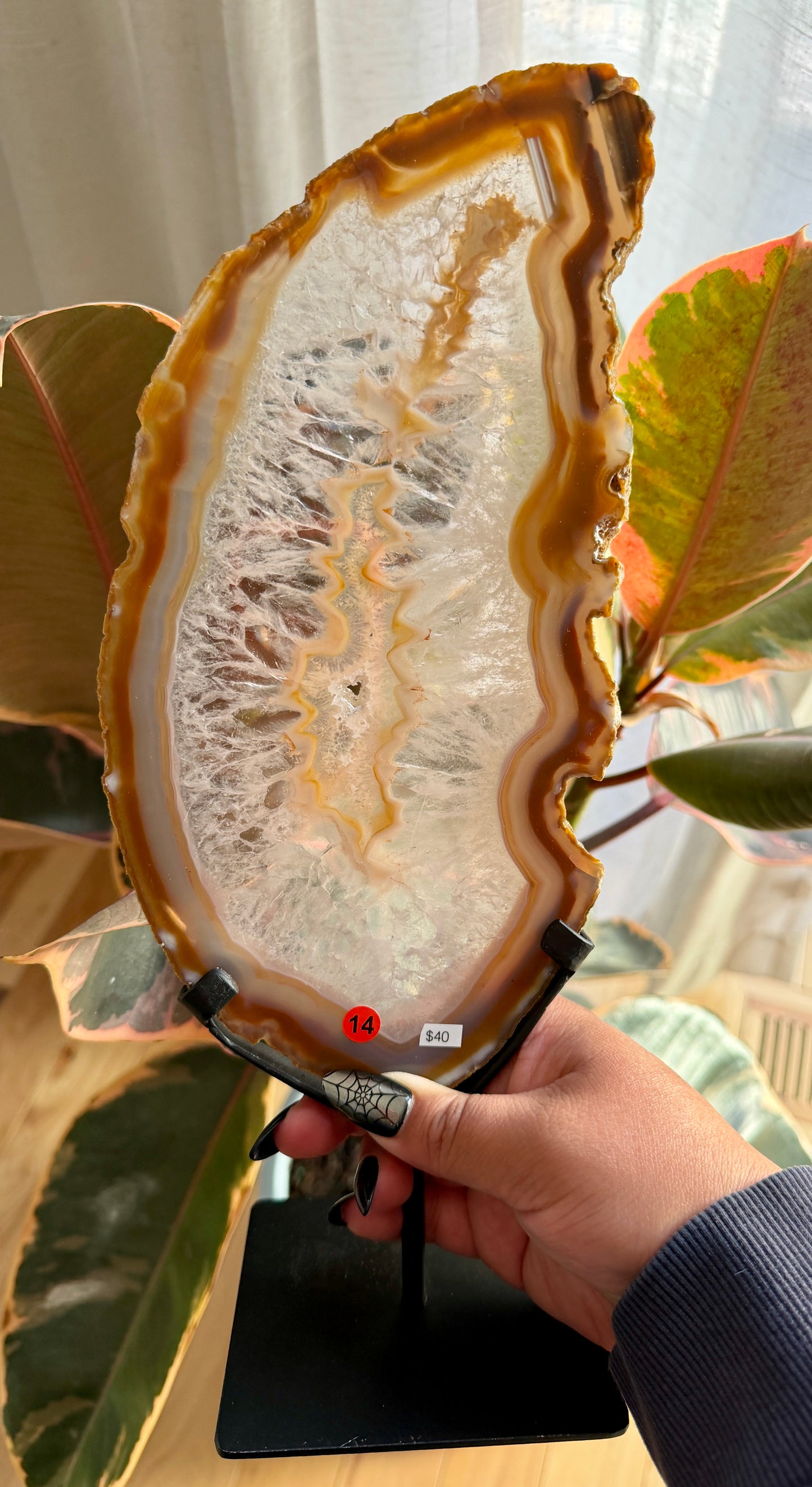Gorgeous Agate Slice from Brazil | Opt 14