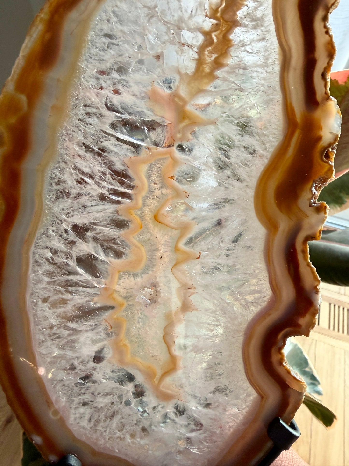 Gorgeous Agate Slice from Brazil | Opt 14
