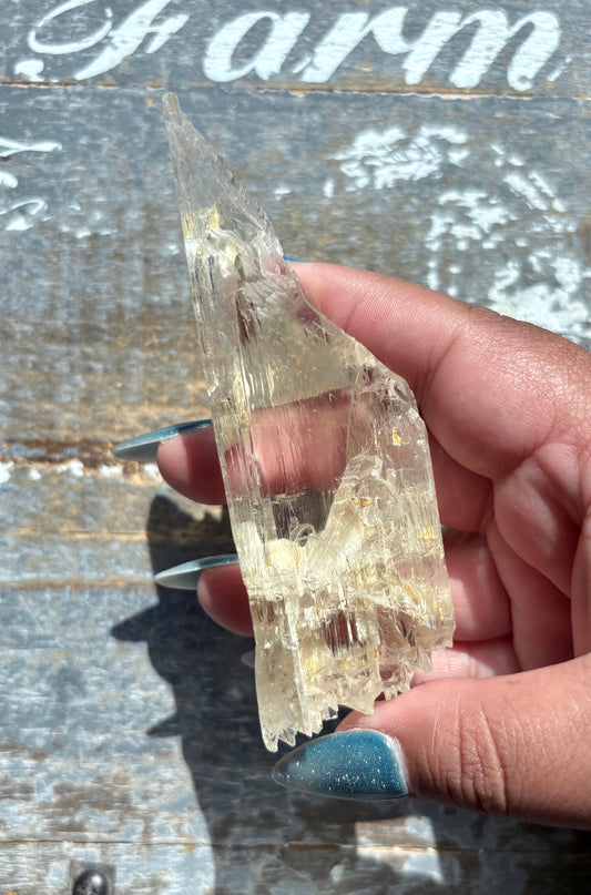 Gorgeous Raw Yellow Triphane Kunzite