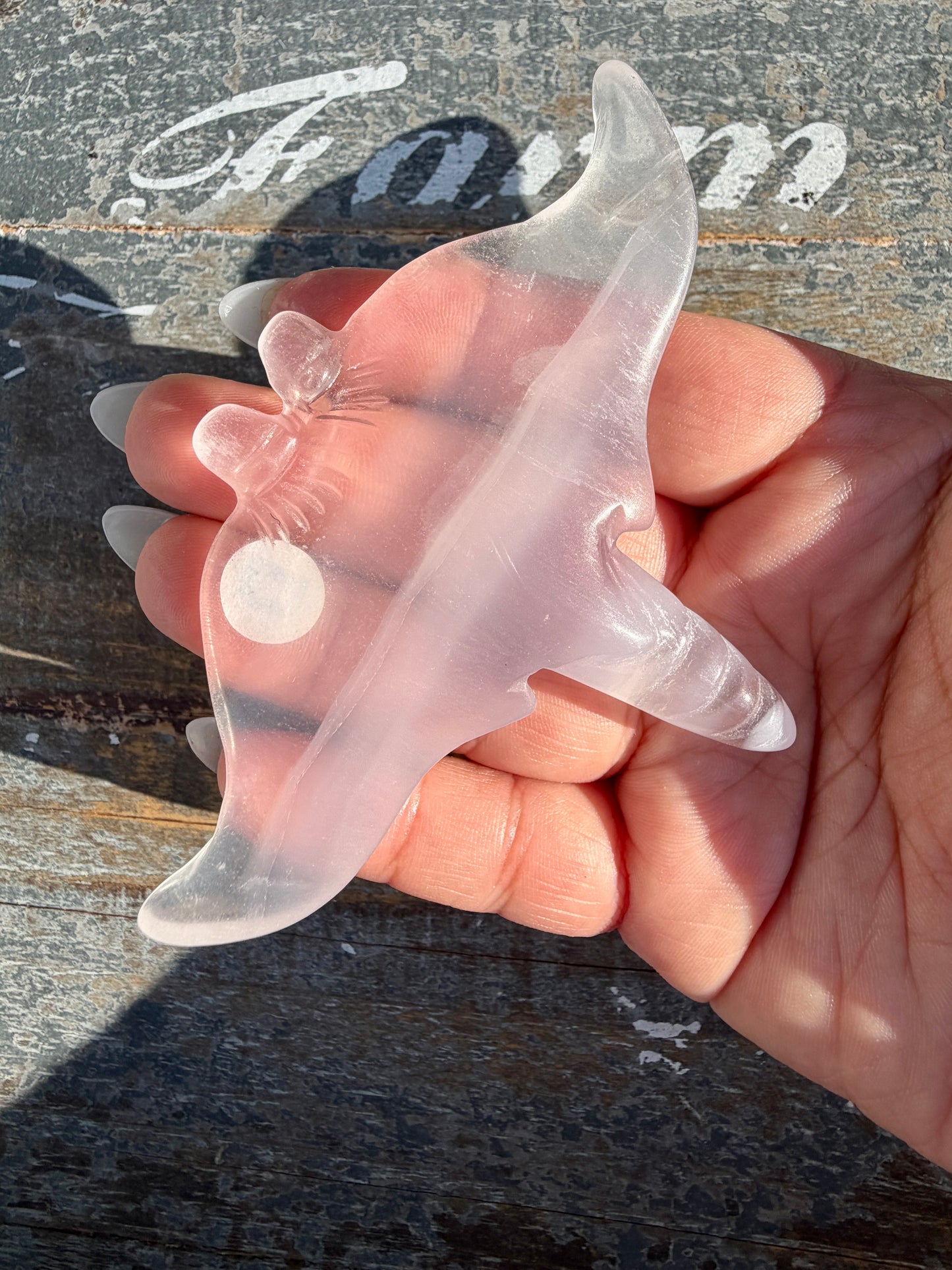 Gorgeous Yttrium Fluorite Sting Ray Carving | Opt D