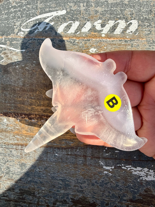 Gorgeous Yttrium Fluorite Sting Ray Carving | Opt B