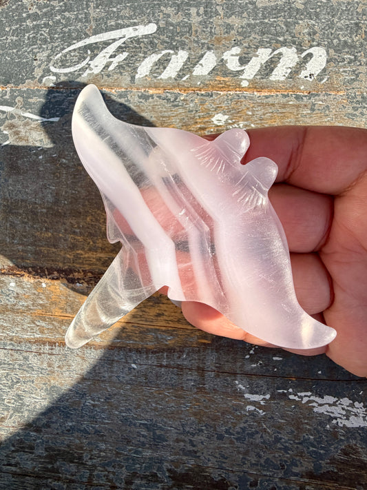 Gorgeous Yttrium Fluorite Sting Ray Carving | Opt E