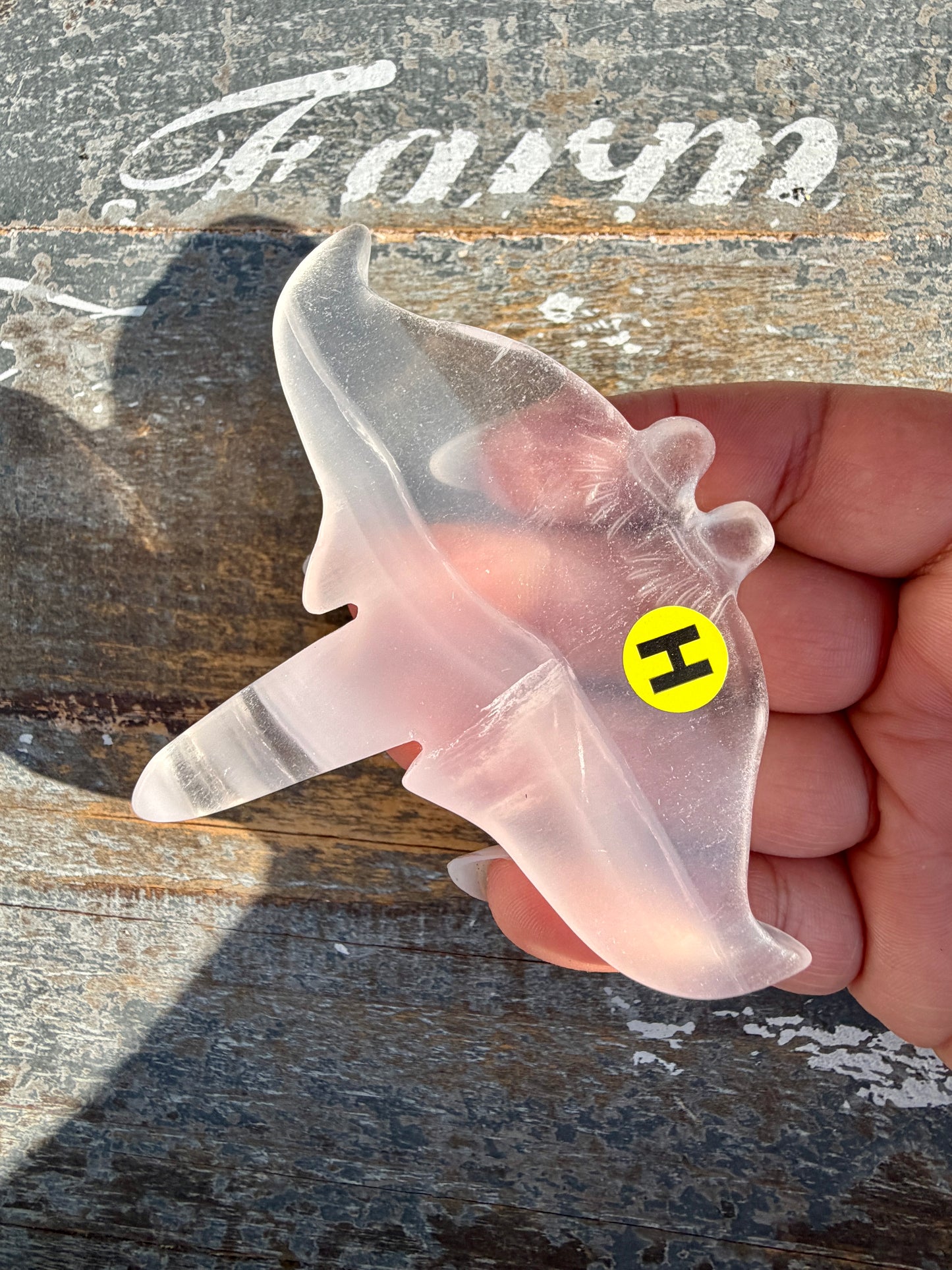 Gorgeous Yttrium Fluorite Sting Ray Carving | Opt H
