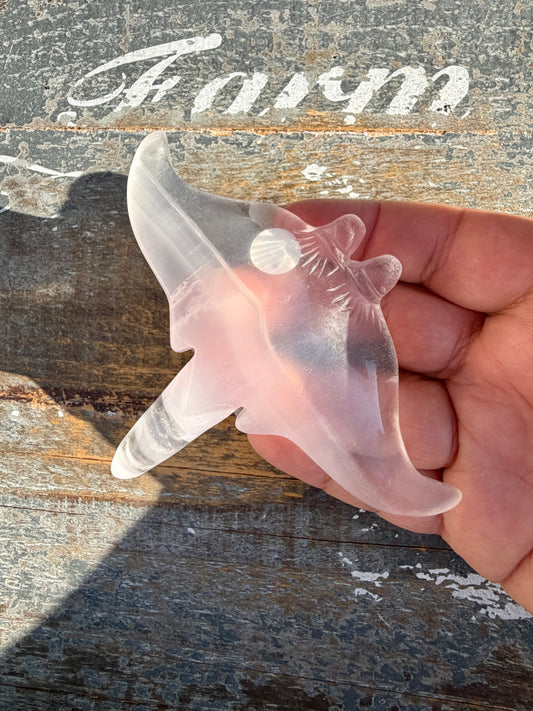 Gorgeous Yttrium Fluorite Sting Ray Carving | Opt H