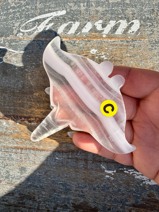 Gorgeous Yttrium Fluorite Sting Ray Carving | Opt C