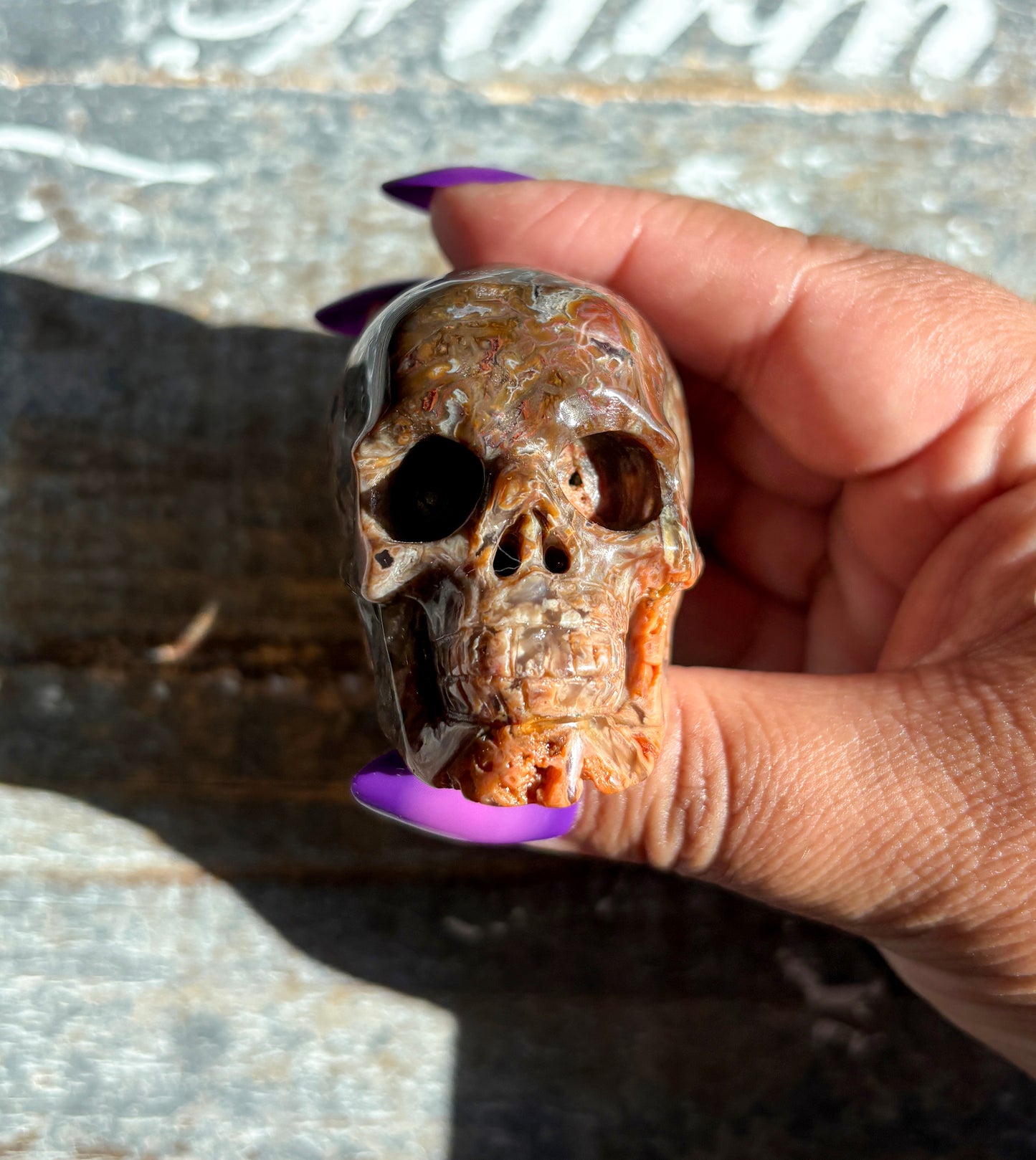 Gorgeous Included Agate Skull | B