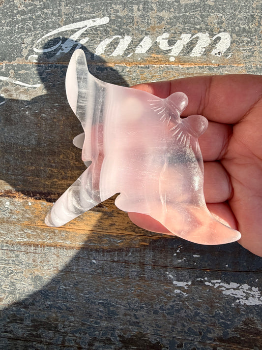 Gorgeous Yttrium Fluorite Sting Ray Carving | Opt G