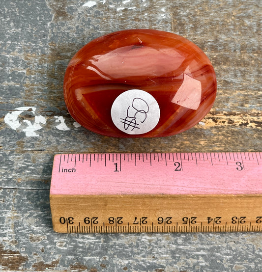 Gorgeous Banded Carnelian in Quartz Palm Stone