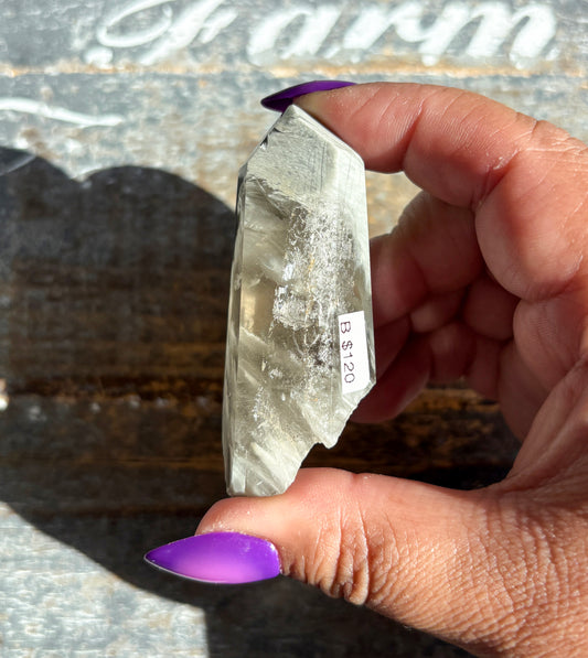 Gorgeous Amphibole Quartz | Opt B