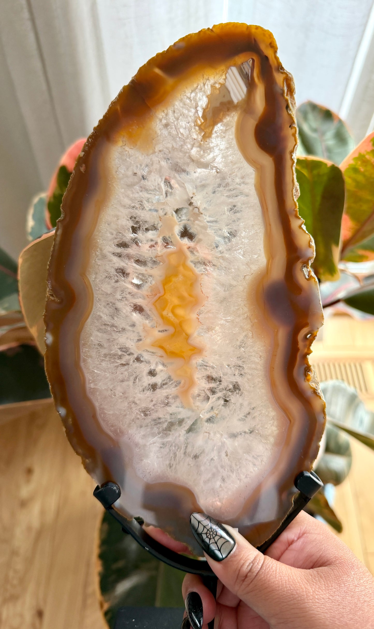 Gorgeous Agate Slice from Brazil | Opt 12 (12" tall)