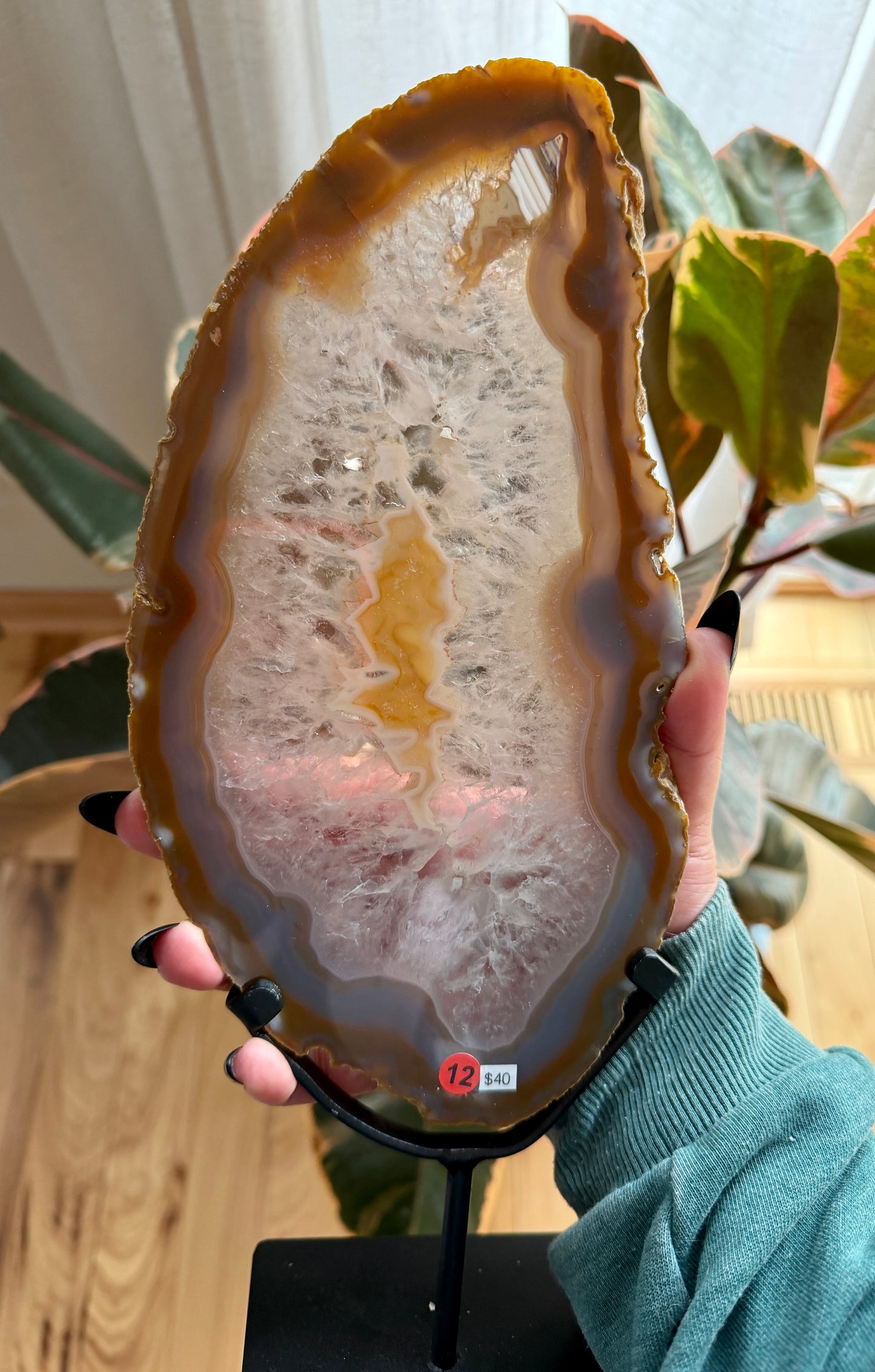 Gorgeous Agate Slice from Brazil | Opt 12 (12" tall)